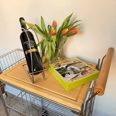 Utulny Par Kroku Od Lazenske Fontany Apartment