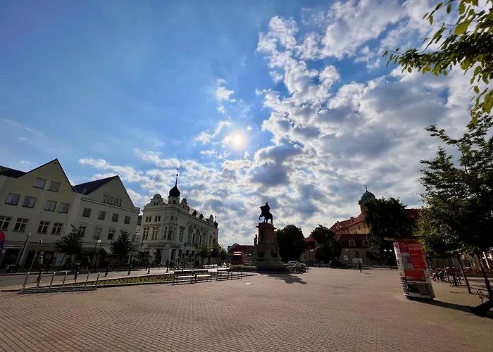 útulný Pár Kroků Od Lázeňské Fontány