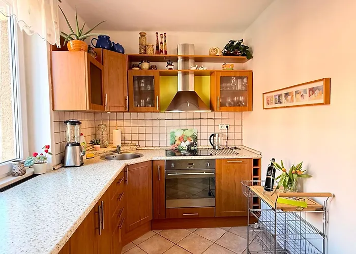 útulný Pár Kroků Od Lázeňské Fontány Poděbrady